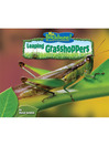 Leaping Grasshoppers